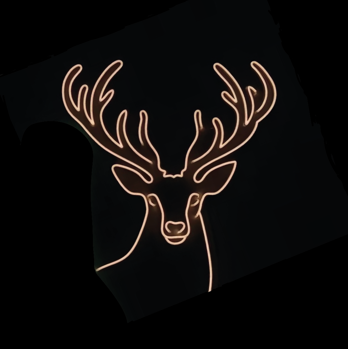 Néon LED Cerf Élaphe