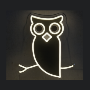 Néon LED - Chouette