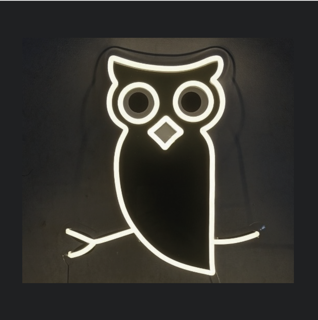 Néon LED Chouette